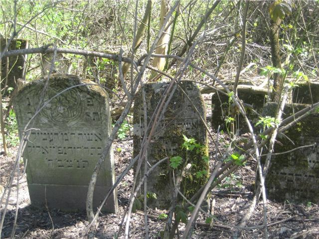 Some gravestones on Kupel cemetery. Надгробия на еврейском кладбище в Купеле